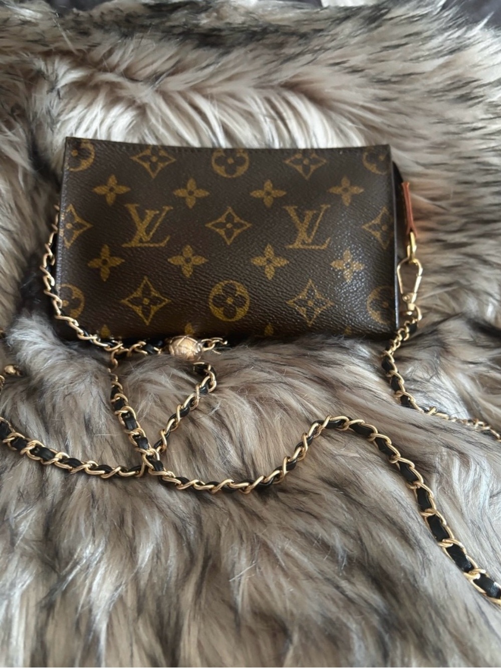 Louis Vuitton Monogram mini pochete bag